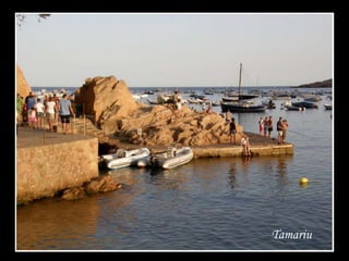 Tamariu
 