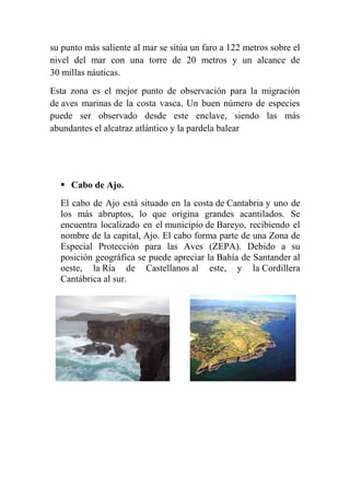 su punto más saliente al mar se sitúa un faro a 122 metros sobre el
nivel del mar con una torre de 20 metros y un alcance de
30 millas náuticas.
Esta zona es el mejor punto de observación para la migración
de aves marinas de la costa vasca. Un buen número de especies
puede ser observado desde este enclave, siendo las más
abundantes el alcatraz atlántico y la pardela balear
 Cabo de Ajo.
El cabo de Ajo está situado en la costa de Cantabria y uno de
los más abruptos, lo que origina grandes acantilados. Se
encuentra localizado en el municipio de Bareyo, recibiendo el
nombre de la capital, Ajo. El cabo forma parte de una Zona de
Especial Protección para las Aves (ZEPA). Debido a su
posición geográfica se puede apreciar la Bahía de Santander al
oeste, la Ría de Castellanos al este, y la Cordillera
Cantábrica al sur.
 