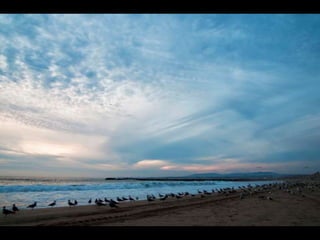 Costa caparica, pescadores e gaivotas