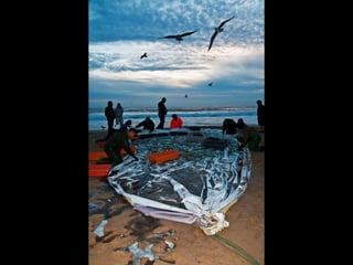 Costa caparica, pescadores e gaivotas