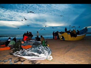 Costa caparica, pescadores e gaivotas