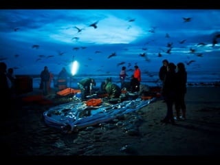 Costa caparica, pescadores e gaivotas