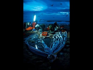 Costa caparica, pescadores e gaivotas