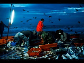 Costa caparica, pescadores e gaivotas