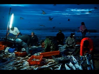 Costa caparica, pescadores e gaivotas