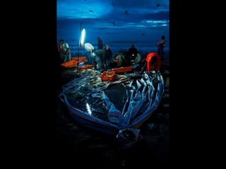 Costa caparica, pescadores e gaivotas