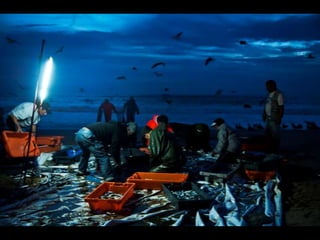Costa caparica, pescadores e gaivotas