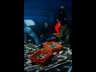 Costa caparica, pescadores e gaivotas