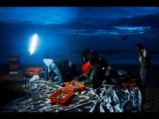 Costa caparica, pescadores e gaivotas