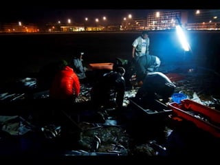 Costa caparica, pescadores e gaivotas