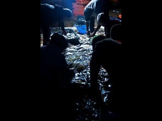 Costa caparica, pescadores e gaivotas