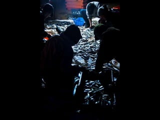 Costa caparica, pescadores e gaivotas