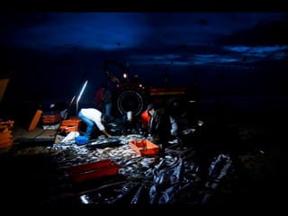 Costa caparica, pescadores e gaivotas