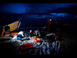 Costa caparica, pescadores e gaivotas