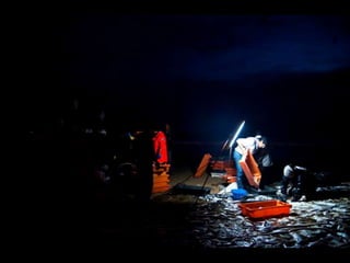 Costa caparica, pescadores e gaivotas