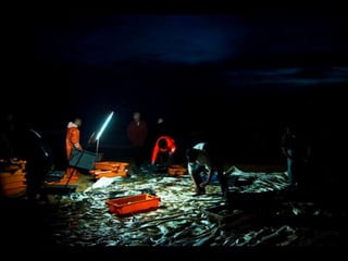 Costa caparica, pescadores e gaivotas