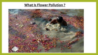 What Is Flower Pollution ?
 