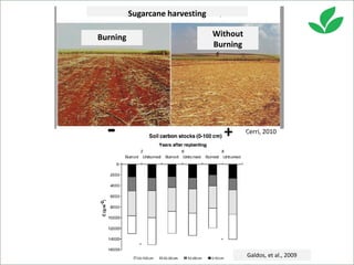 Costa, Ciniro Jr - Climate Food and Farming CLIFF Network annual workshop November 2017