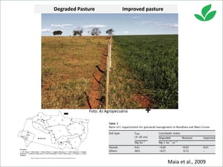 Costa, Ciniro Jr - Climate Food and Farming CLIFF Network annual workshop November 2017