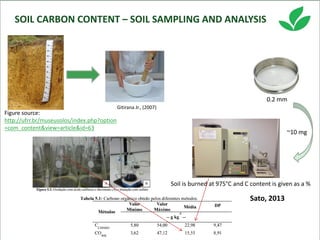 Costa, Ciniro Jr - Climate Food and Farming CLIFF Network annual workshop November 2017