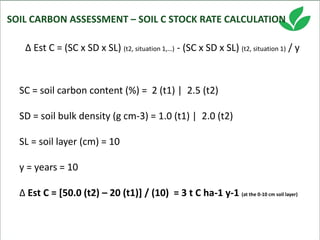 Costa, Ciniro Jr - Climate Food and Farming CLIFF Network annual workshop November 2017