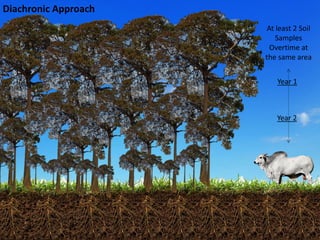 Costa, Ciniro Jr - Climate Food and Farming CLIFF Network annual workshop November 2017