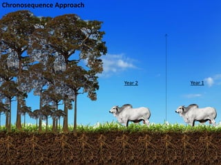 Costa, Ciniro Jr - Climate Food and Farming CLIFF Network annual workshop November 2017