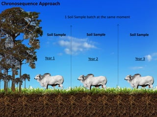 Costa, Ciniro Jr - Climate Food and Farming CLIFF Network annual workshop November 2017