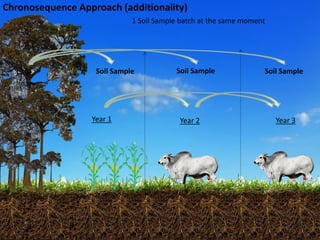 Costa, Ciniro Jr - Climate Food and Farming CLIFF Network annual workshop November 2017