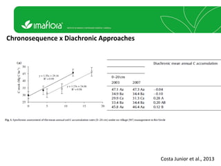 Costa, Ciniro Jr - Climate Food and Farming CLIFF Network annual workshop November 2017