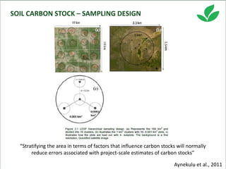 Costa, Ciniro Jr - Climate Food and Farming CLIFF Network annual workshop November 2017