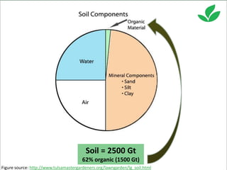 Costa, Ciniro Jr - Climate Food and Farming CLIFF Network annual workshop November 2017