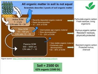 Costa, Ciniro Jr - Climate Food and Farming CLIFF Network annual workshop November 2017