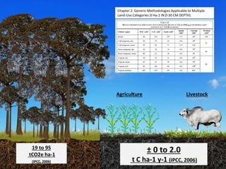 Costa, Ciniro Jr - Climate Food and Farming CLIFF Network annual workshop November 2017
