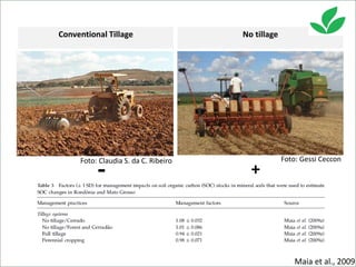 Costa, Ciniro Jr - Climate Food and Farming CLIFF Network annual workshop November 2017