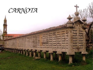 CARNOTA