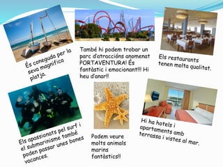 També hi podem trobar un
parc d’atraccións anomenat
PORTAVENTURA! És
fantàstic i emocionant!!! Hi
heu d’anar!!
Podem veure
molts animals
marins
fantàstics!!
 