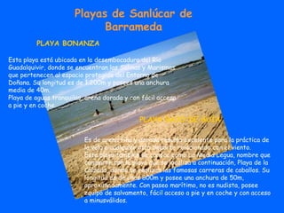 Playas de Sanlúcar de Barrameda PLAYA BONANZA   Esta playa está ubicada en la desembocadura del Río Guadalquivir, donde se encuentran las Salinas y Marismas que pertenecen al espacio protegido del Entorno de Doñana. Su longitud es de 1.200m y posees una anchura media de 40m. Playa de aguas tranquilas, arena dorada y con fácil acceso a pie y en coche. PLAYA BAJO DE GUÍA Es de arena fina y dorada resulta excelente para la práctica de la vela o cualquier otro deporte relacionado con el viento. Esta playa también se conoce como La Media Legua, nombre que comparte con la playa que se localiza a continuación, Playa de la Calzada, donde se realizan las famosas carreras de caballos. Su longitud es de unos 800m y posee una anchura de 50m, aproximadamente. Con paseo marítimo, no es nudista, posee equipo de salvamento, fácil acceso a pie y en coche y con acceso a minusválidos. 