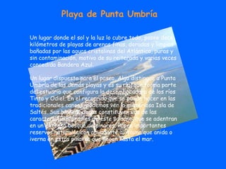 Playa de Punta Umbría Un lugar donde el sol y la luz lo cubre todo, posee doce kilómetros de playas de arenas finas, doradas y limpias bañadas por las aguas cristalinas del Atlántico, puras y sin contaminación, motivo de su reiterada y varias veces concedida Bandera Azul.  Un lugar dispuesto para el paseo. Algo distingue a Punta Umbría de las demás playas y es su ría, que forma parte del estuario que configura la desembocadura de los ríos Tinto y Odiel. En el recorrido que se puede hacer en las tradicionales canoas, podemos ver la misteriosa Isla de Saltés. Sus blancas dunas constituyen una de las características propias de este paisaje, que se adentran en un extenso bosque de pinares. Posee importantes reservas naturales con abundante avifauna que anida o iverna en estos pinares que llegan hasta el mar. 