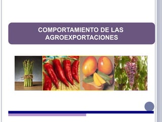 COMPORTAMIENTO DE LAS  AGROEXPORTACIONES 