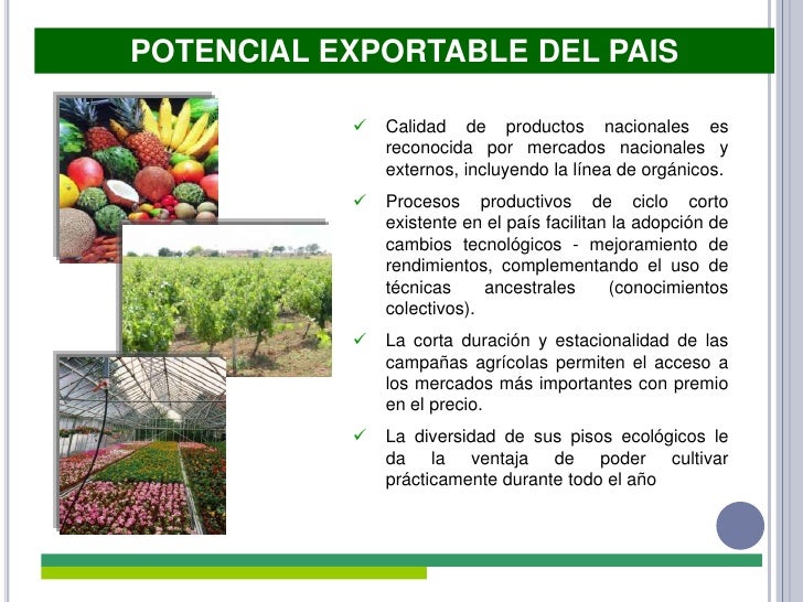 Productos medicinales naturales peruanos Productos medicinales naturales peruanos