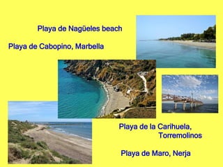 Playa de Nagüeles beach
Playa de Cabopino, Marbella
Playa de la Carihuela,
Torremolinos
Playa de Maro, Nerja
 