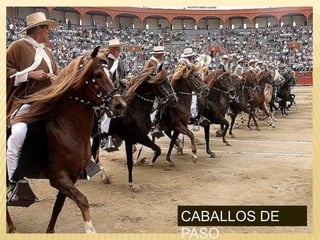 CABALLOS DE
PASO