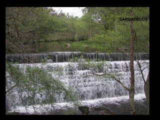 SARGADELOS