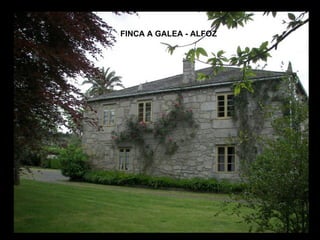 FINCA A GALEA - ALFOZ