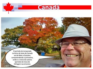 O período de temporada
turística do leste do Canadá
vai de Maio a Outubro,
compreendendo a primavera,
verão e o início do outono
(período da troca de
folhagem nas árvores).
 