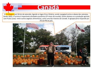 O rio Niagara tem 56 km de extensão, ligando os lagos Erie e Ontário, sendo navegável acima e abaixo das cataratas.
Desde 1820, o Turismo é importante atividade econômica (5º maior do mundo). Porém destaca-se a produção agrícola
com frutas (uvas) entre outros vegetais alimentícios, como uma das maiores do Canadá. A agropecuária responde por
2% do PIB do país.
 