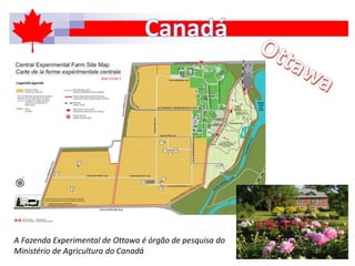 A Fazenda Experimental de Ottawa é órgão de pesquisa do
Ministério de Agricultura do Canadá
 