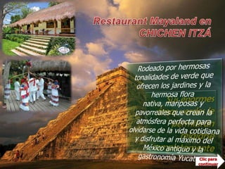 Restaurant Mayaland en CHICHEN ITZÁRodeado por hermosas tonalidades de verde que ofrecen los jardines y la hermosa flora nativa, mariposas y pavorreales que crean la atmósfera perfecta para olvidarse de la vida cotidiana y disfrutar al máximo del México antiguo y la gastronomía Yucateca.Sus enormes áreas verdes le permitirán relajarse completamenteClic para continuar