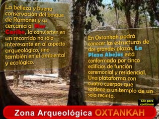 Se encuentra 16 kilómetros al norte de Chetumal, capital del estado de Quintana Roo.La belleza y buena conservación del bosque de Ramones y su cercanía al Mar Caribe, la convierten en un recorrido no sólo interesante en al aspecto arqueológico, sino también en el ambiental y ecológico.En Oxtankah podrá conocer las estructuras de dos grandes plazas, La Plaza Abejas está conformada por cinco edificios de función ceremonial y residencial. Una plataforma con cuatro cuerpos que sostiene a un templo de un solo recinto.Por ser el sitio arqueológico más cercano a Chetumal, es una visita obligada si usted visita la capital del estado.Clic para continuarZona Arqueológica OXTANKAH